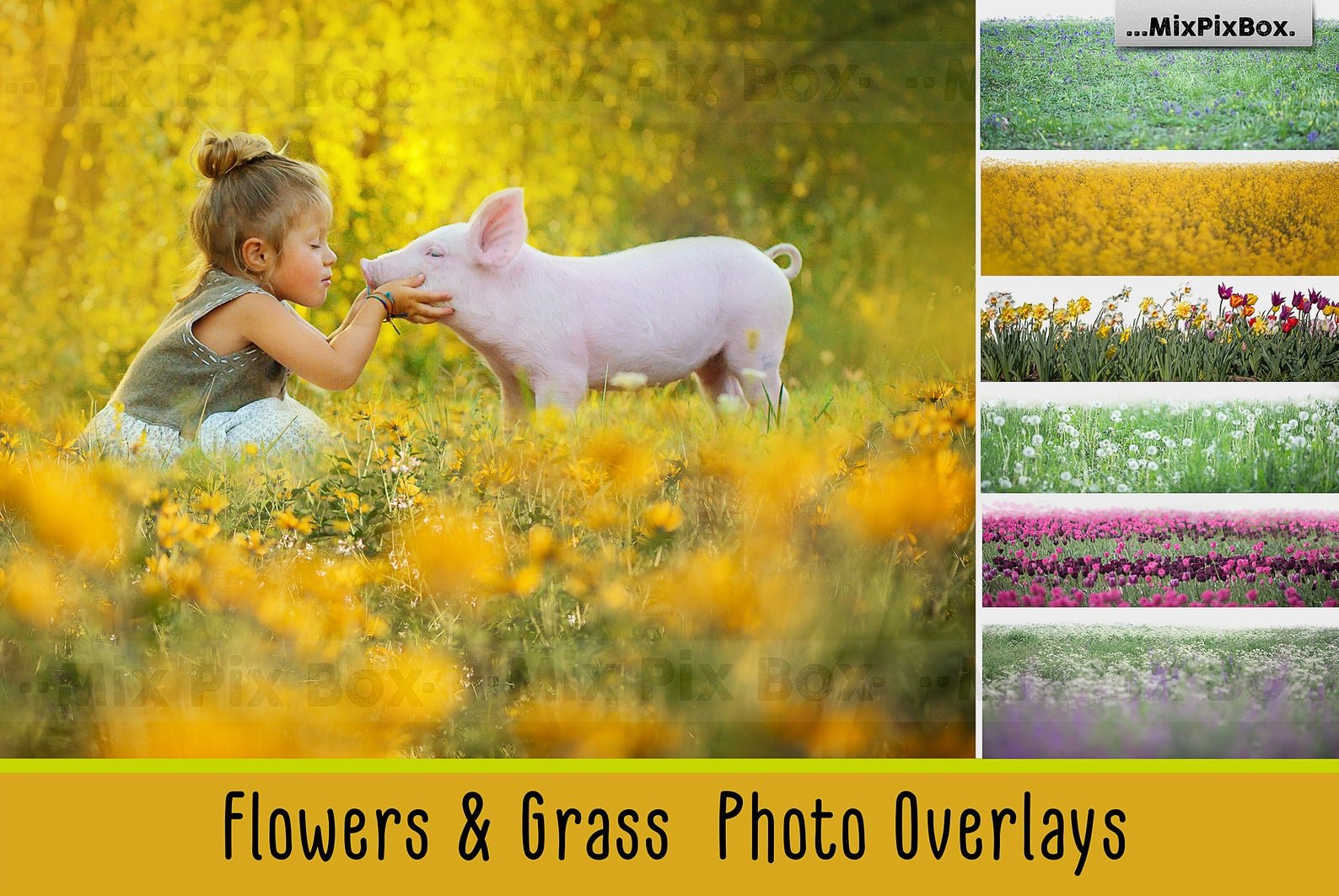 Flowers and Grass Overlayscover image.