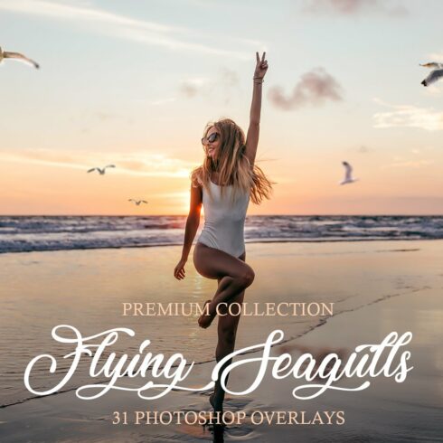 Flying Seagulls Photoshop Overlayscover image.