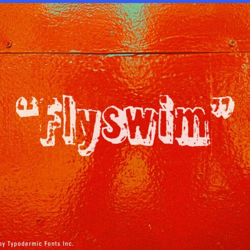 Flyswim cover image.