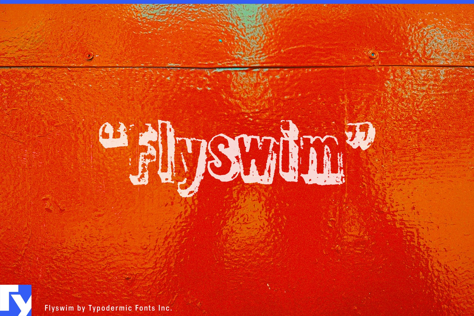 Flyswim cover image.