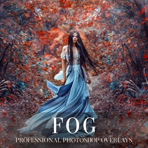 Fog Overlays Photoshopcover image.