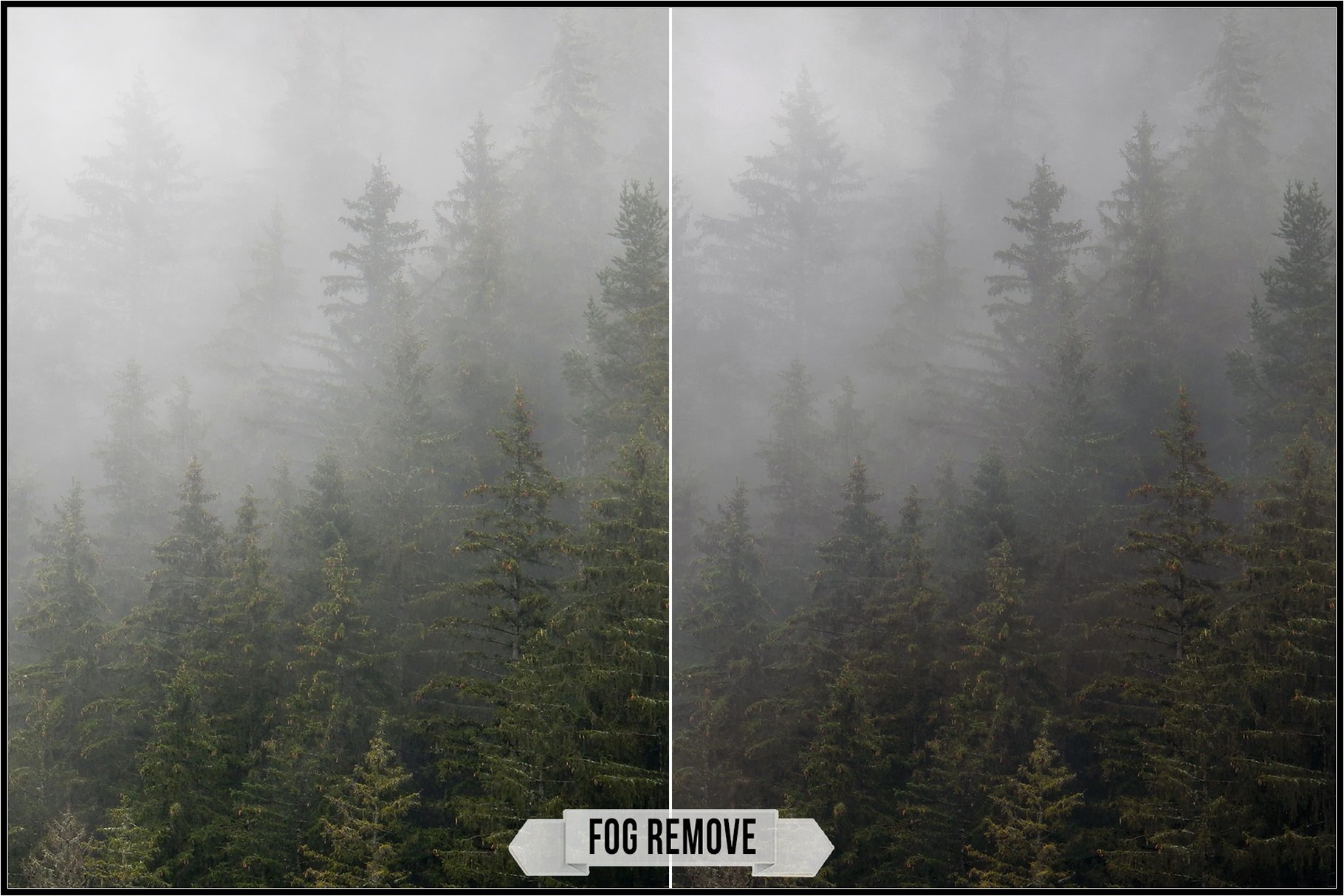 fog remove 239