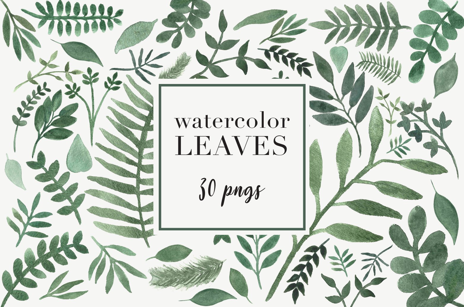 Watercolor leaves with a square frame on a white background.