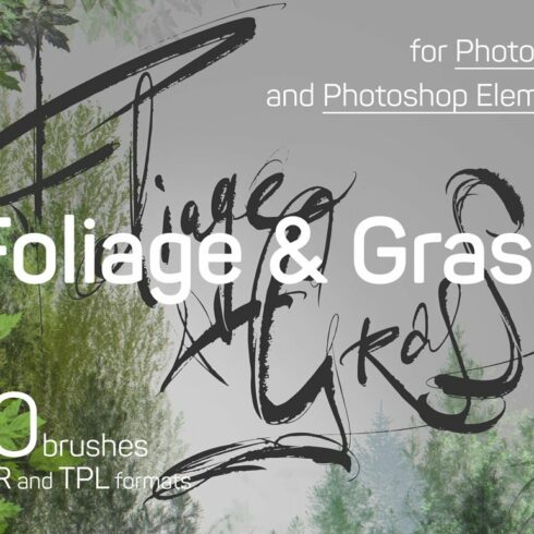 60 Photoshop Foliage & Grass brushescover image.