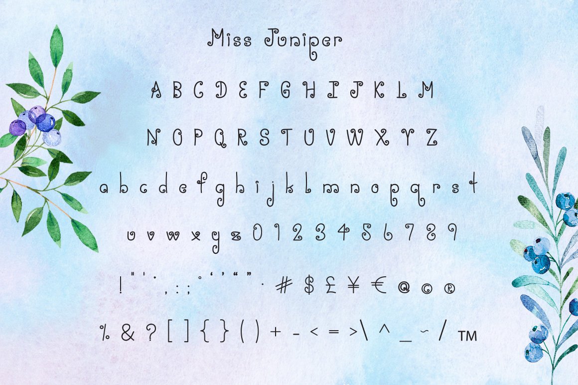 Miss Juniper Serif Font preview image.