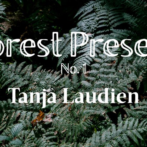 Lightroom Presets - Forest No. 1cover image.