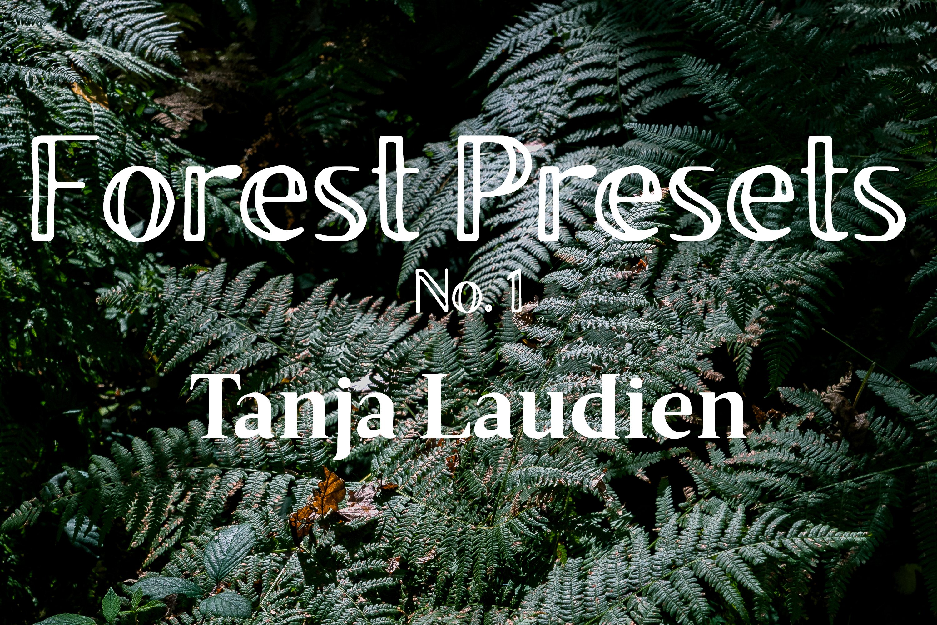 Lightroom Presets - Forest No. 1cover image.