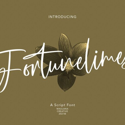 Fortunelimes Script Font cover image.