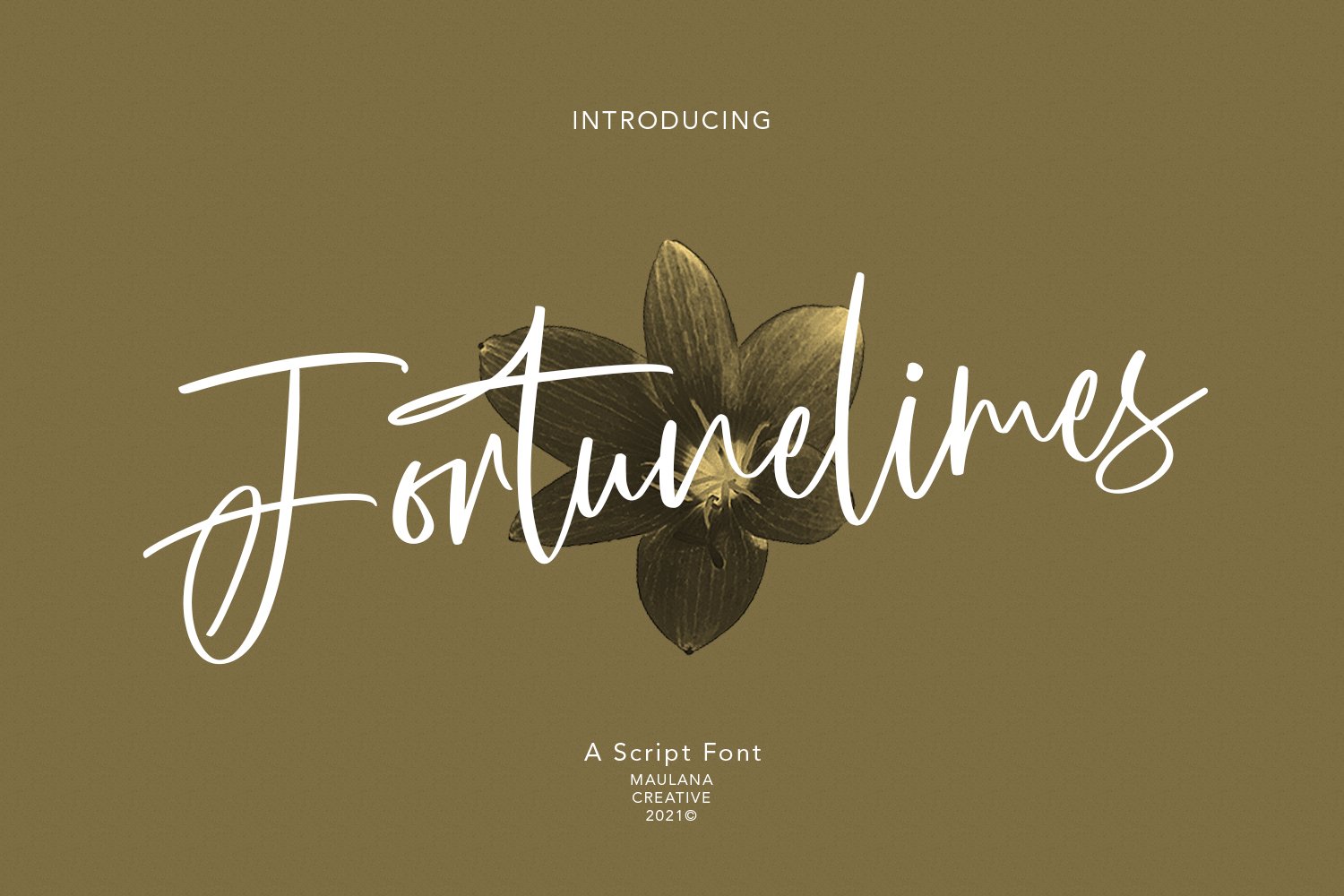 Fortunelimes Script Font cover image.