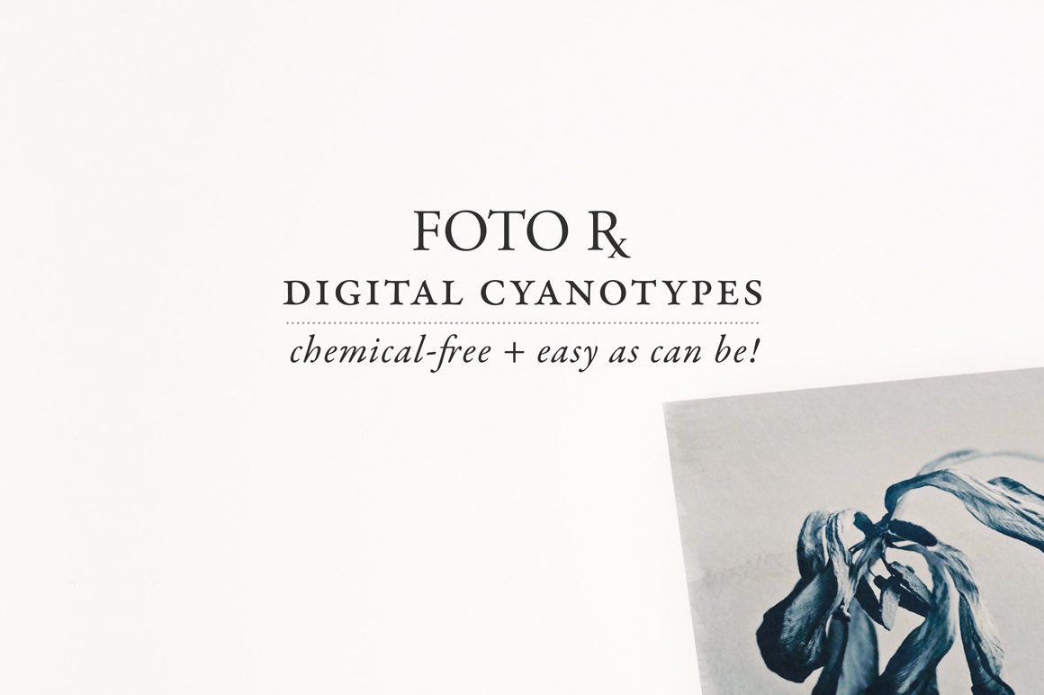 Digital Cyanotype Effectcover image.