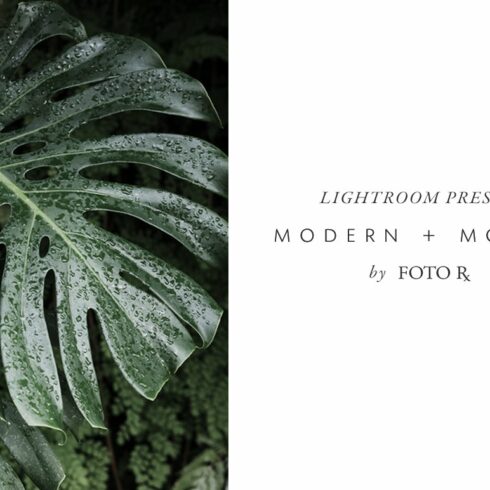 Modern + Moody Lightroom Presetscover image.