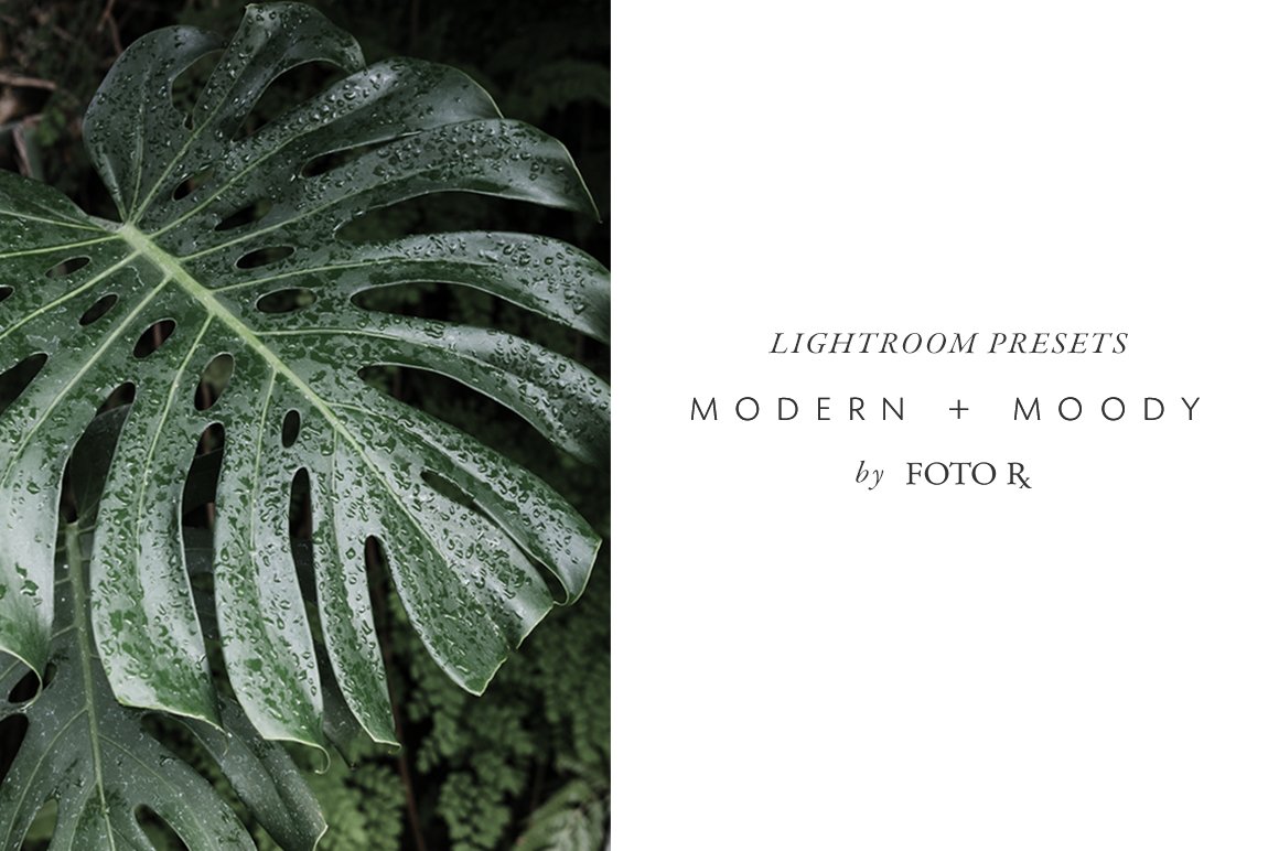 Modern + Moody Lightroom Presetscover image.