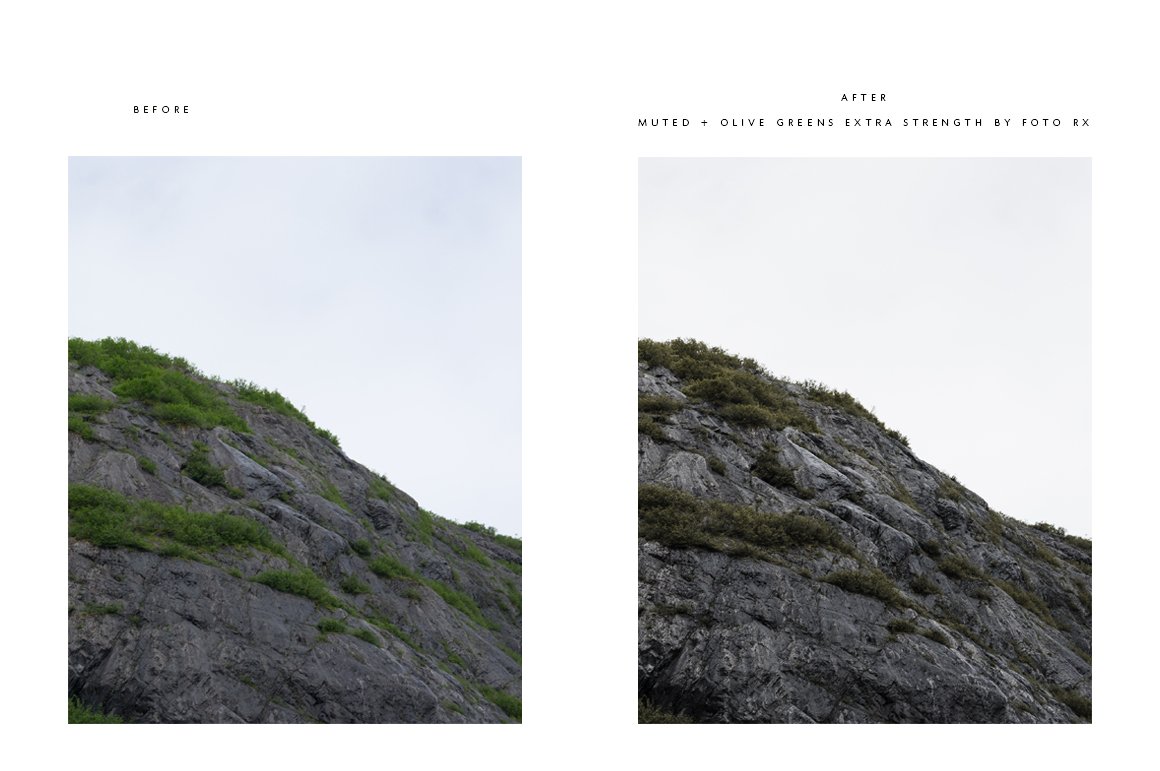 foto rx mm presets muted olive greens before and after cm 743