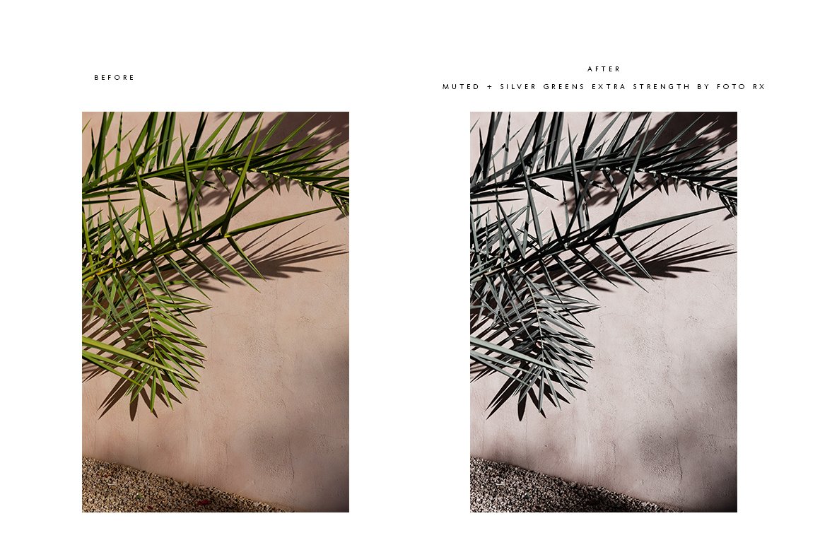 foto rx mm presets muted silver greens cm 640
