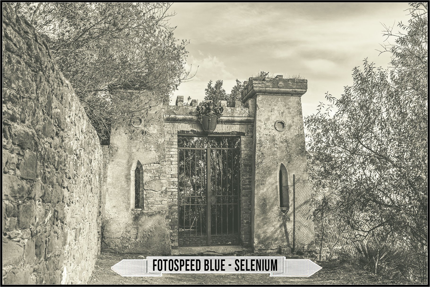 fotospeed blue selenium 909