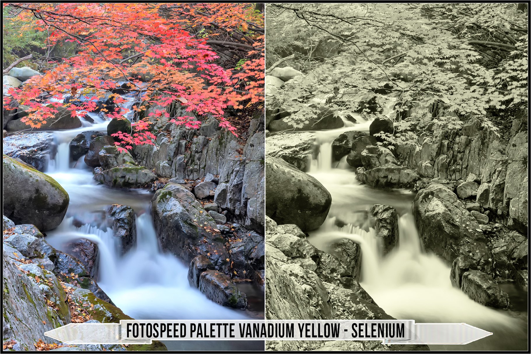 fotospeed palette vanadium yellow selenium 254