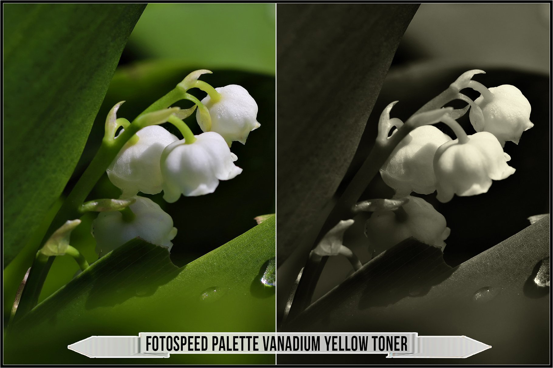 fotospeed palette vanadium yellow toner 240
