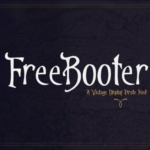 Freebooter - Pirate Displaycover image.