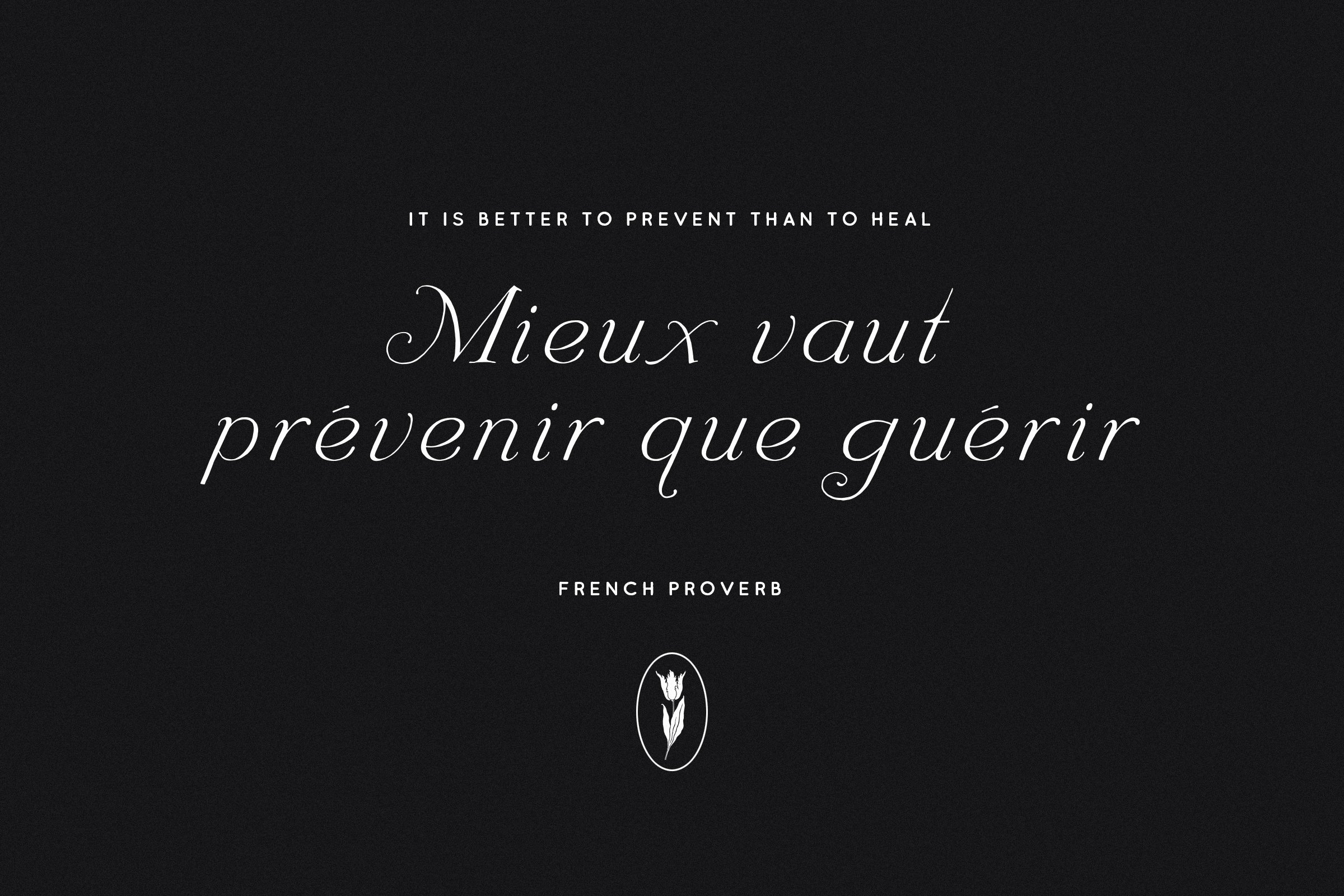french proverb 8 669