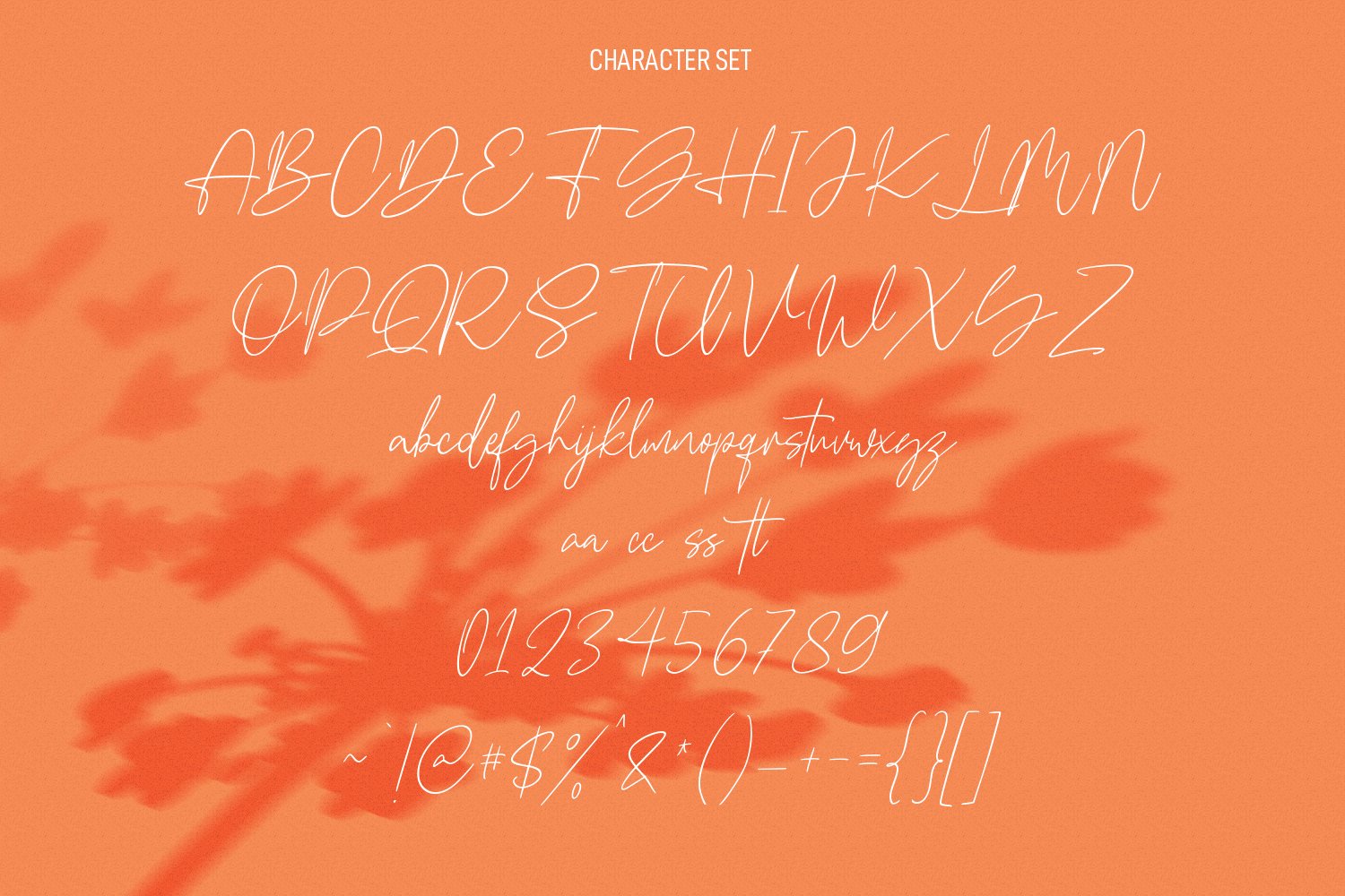 Frenchasette Signature Script Font preview image.