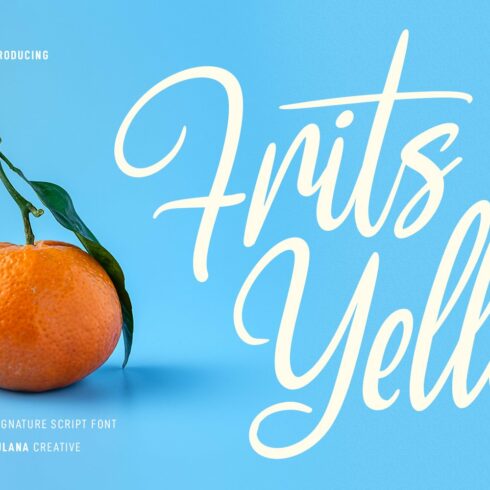 Frits Yello Script Font cover image.