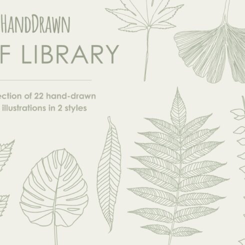 HandDrawn Leaf Library cover image.