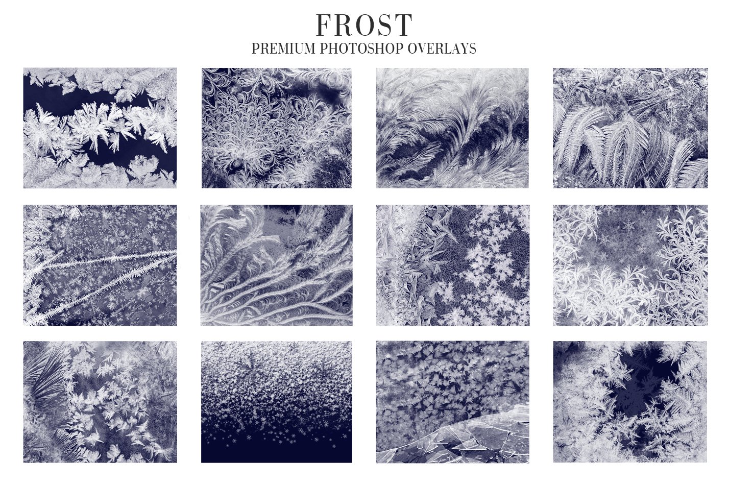 Frost Photo Overlayspreview image.
