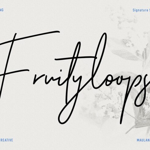 Fruityloops Script Font cover image.