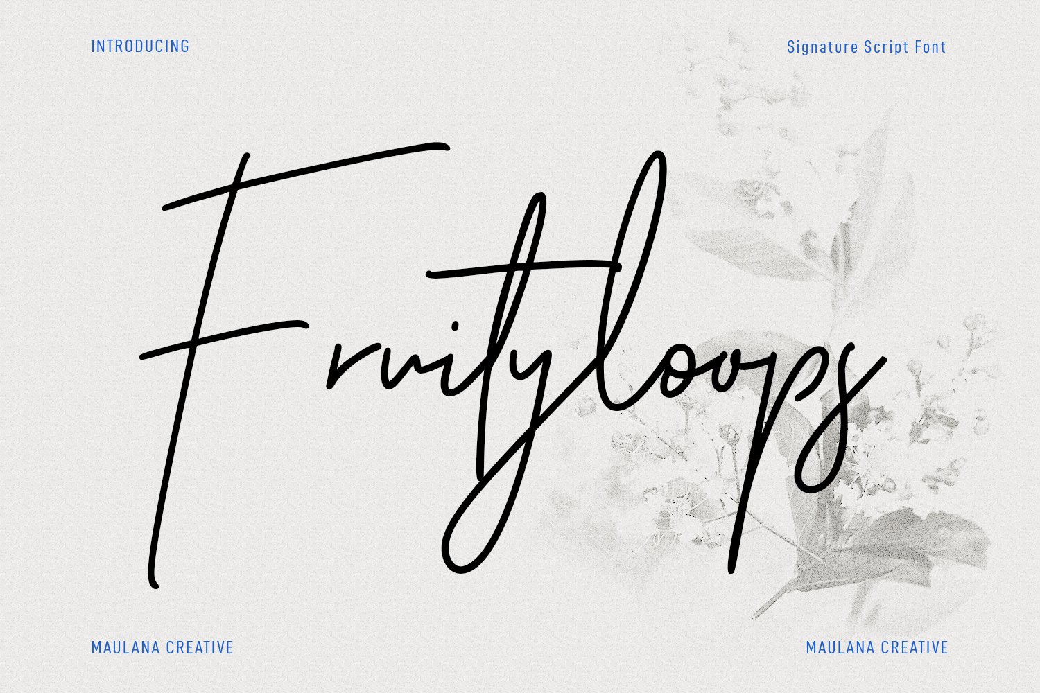 Fruityloops Script Font cover image.