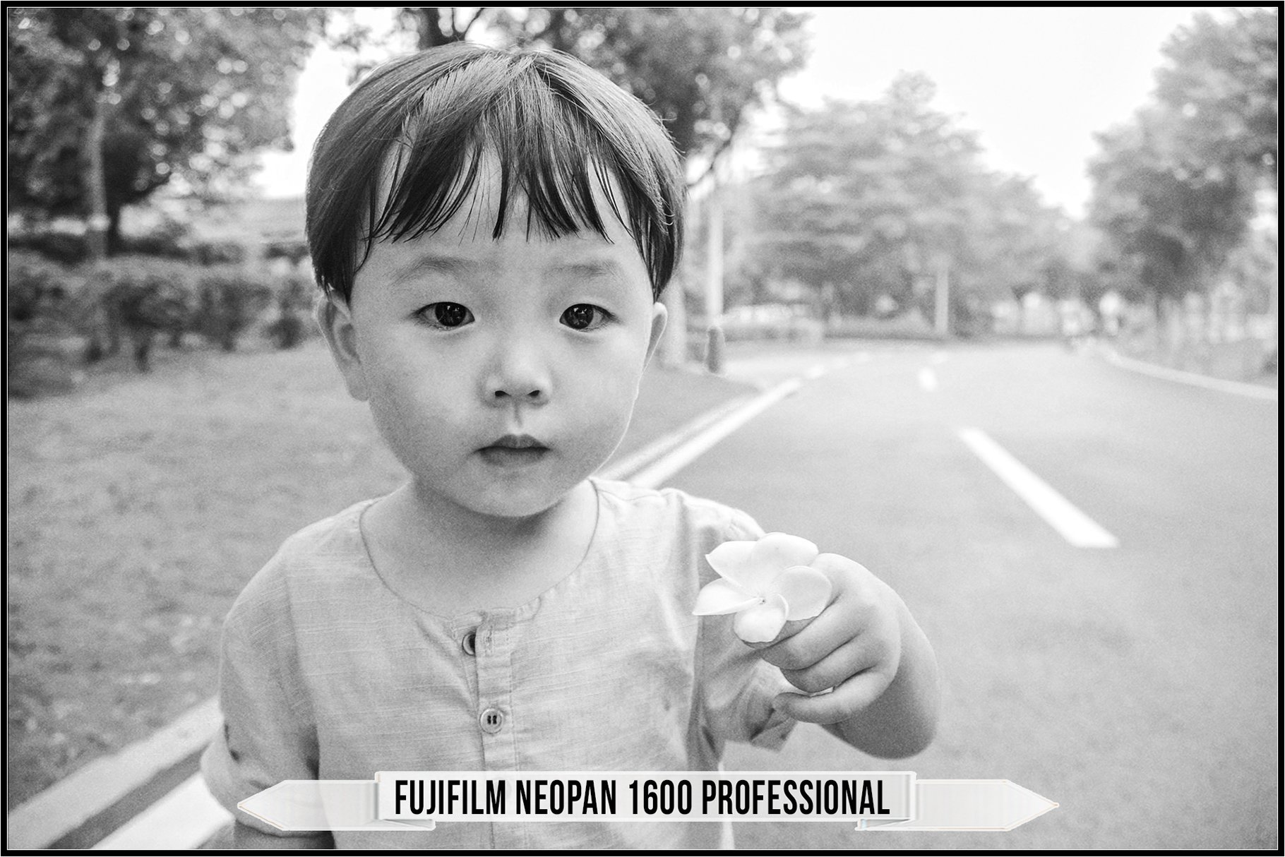 fujifilm neopan 1600 professional 597