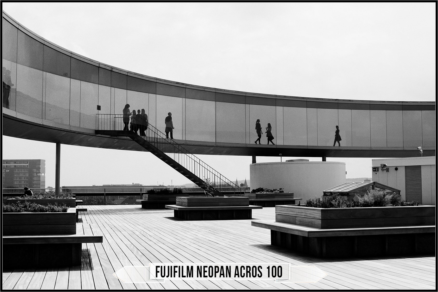 Fujifilm Black and White Film LUTspreview image.