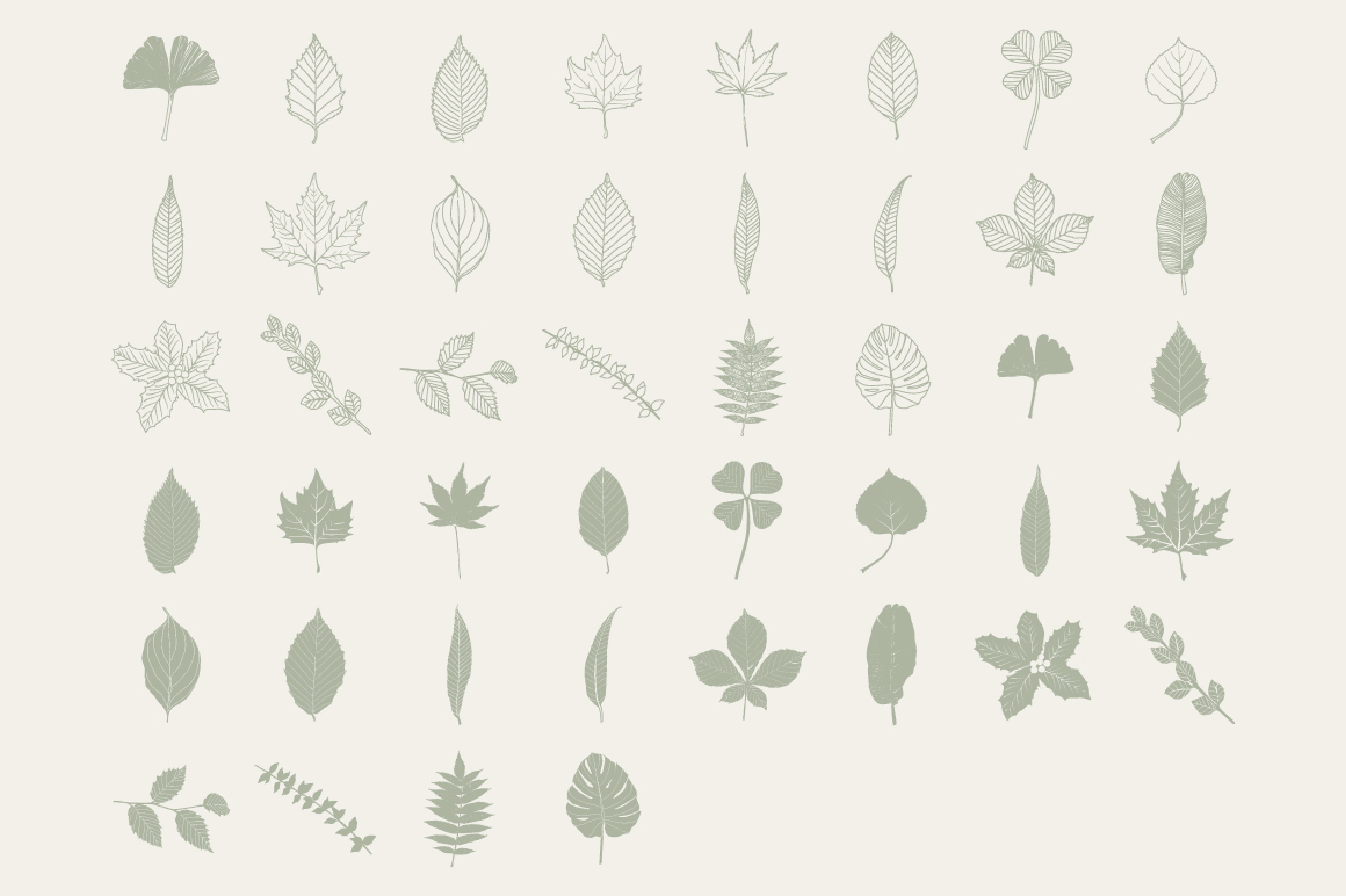 Collection of leaf silhouettes on a white background.