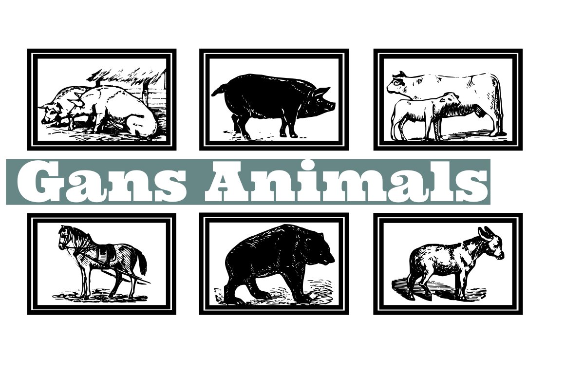 Gans Animals cover image.