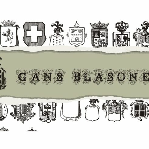 Gans Blasones cover image.