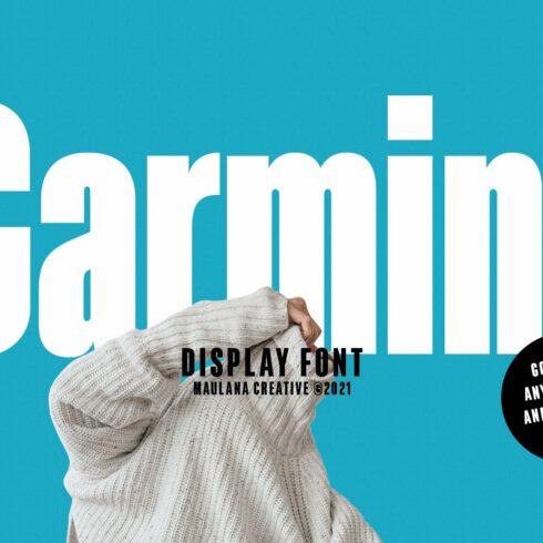 Garmint Sans Serif Display Font cover image.