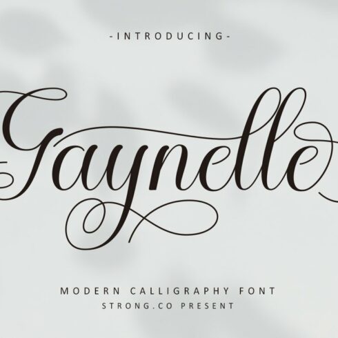 Gaynelle Script cover image.
