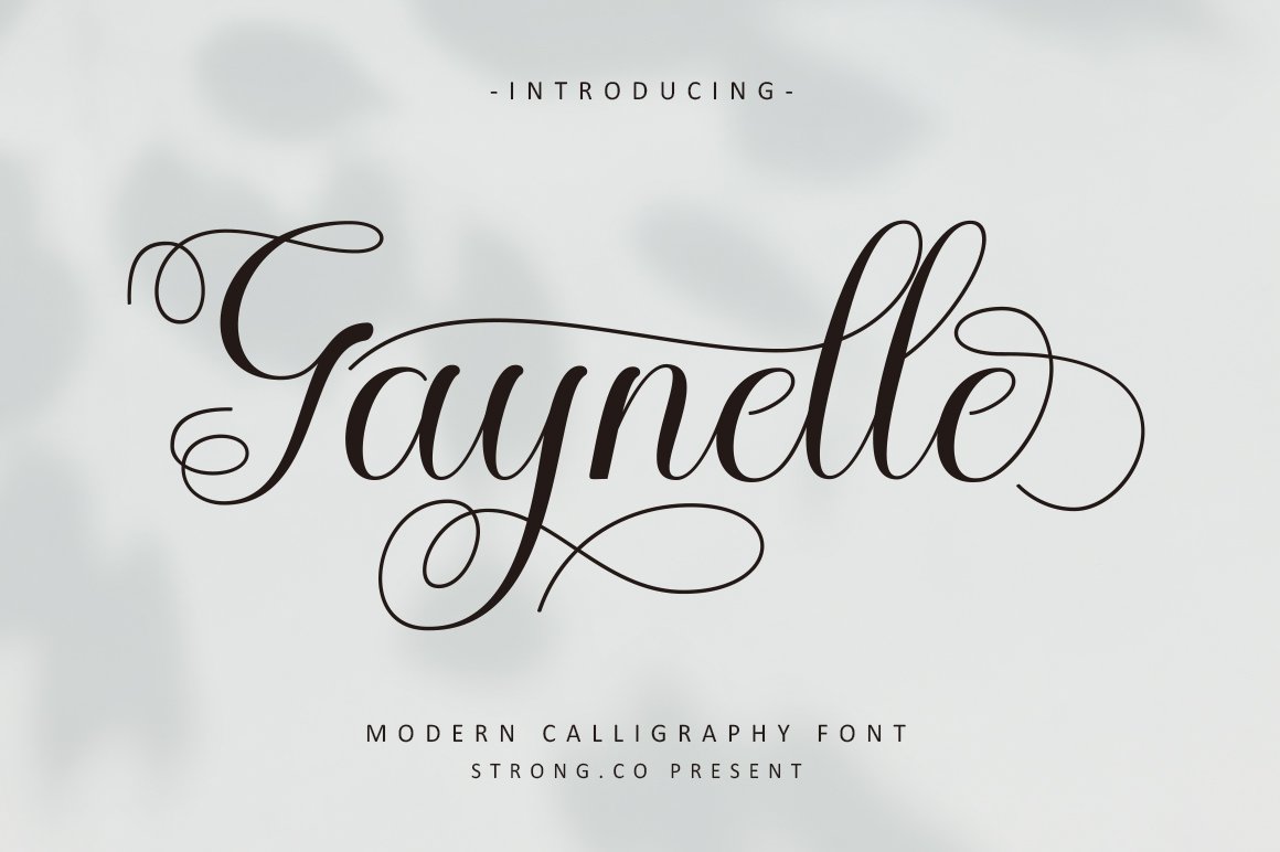 Gaynelle Script cover image.