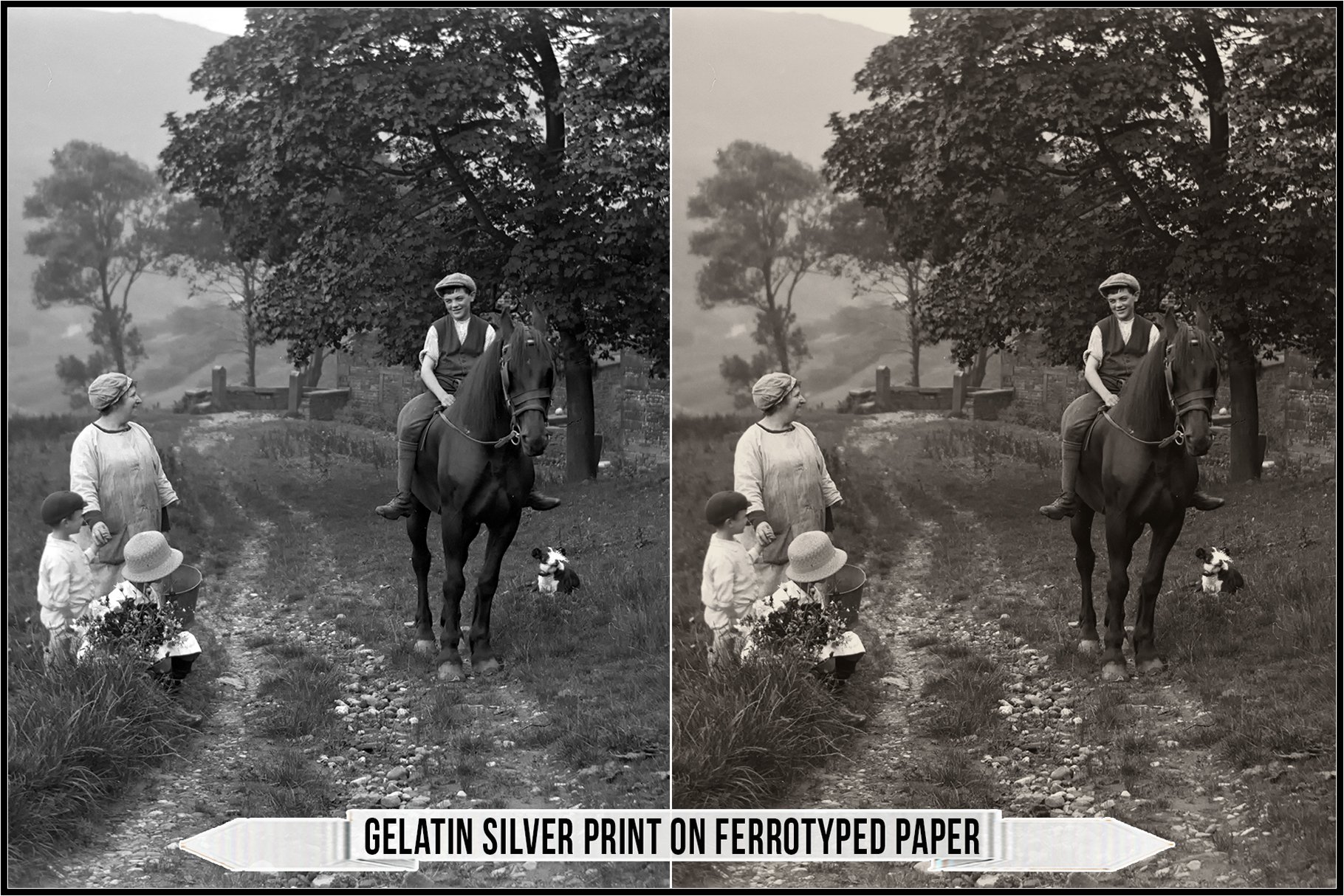 gelatin silver print on ferrotyped paper 206