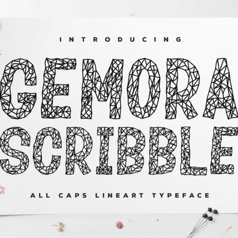 Gemora Scribble - Fun Display Font cover image.