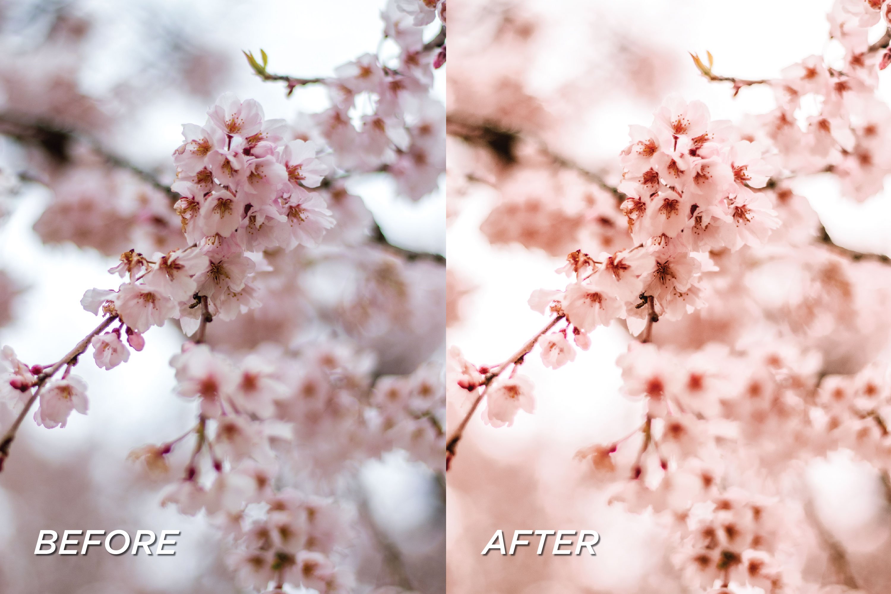 5 Peach Lightroom Presetspreview image.