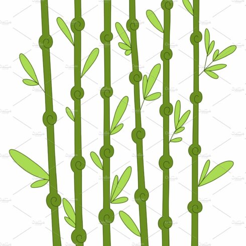 Drawing of a bamboo plant on a white background.