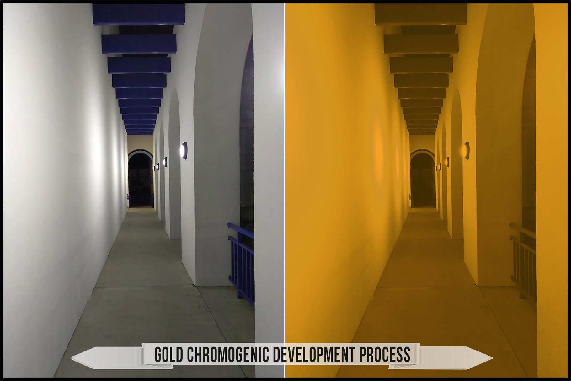 gold chromogenic development process 176