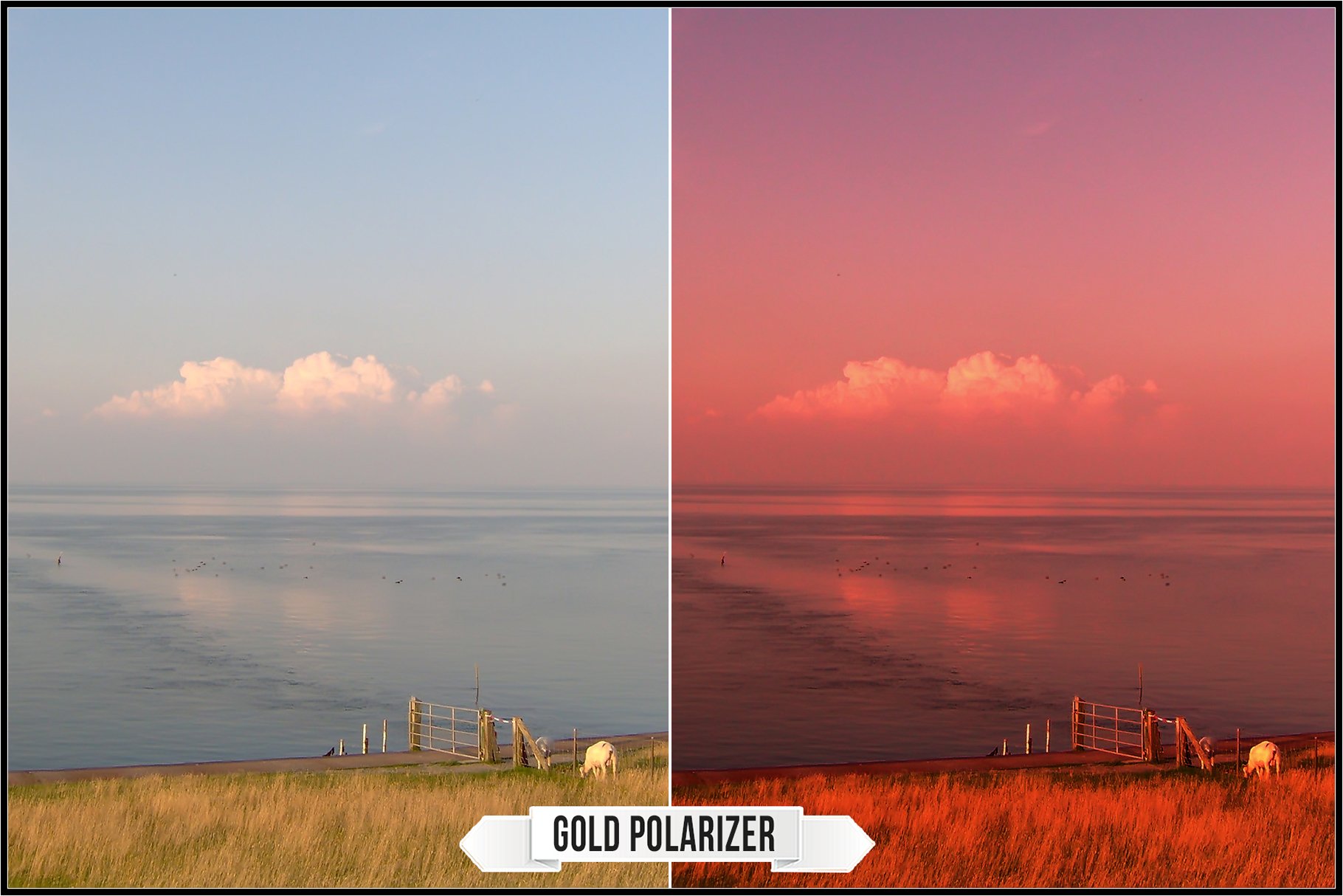 gold polarizer 2 820