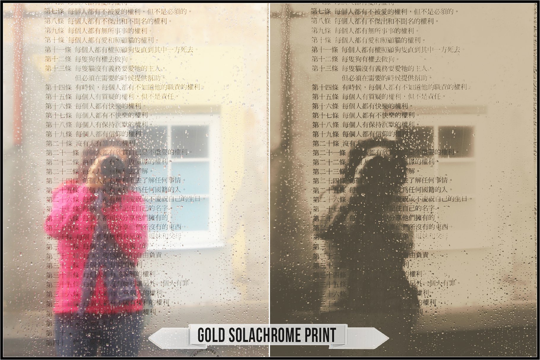 gold solachrome print 95