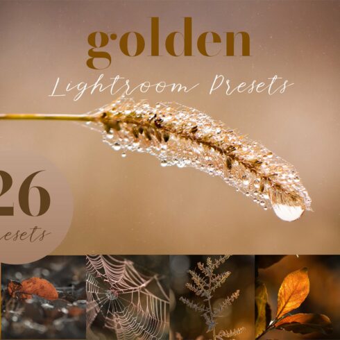 Golden Lightroom Presetscover image.
