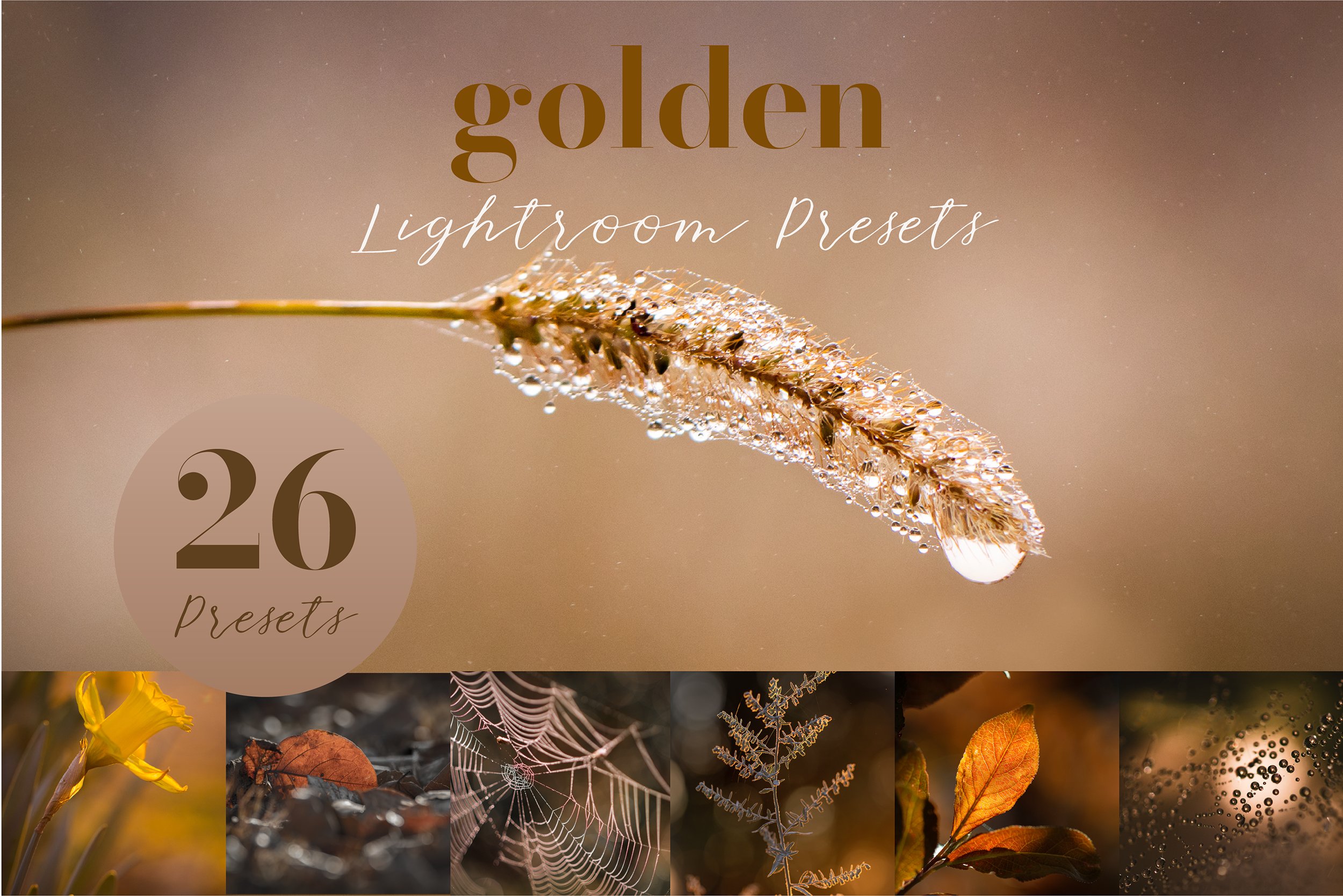 Golden Lightroom Presetscover image.