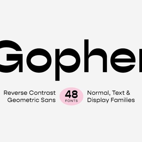 Gopher Complete Font Family cover image.