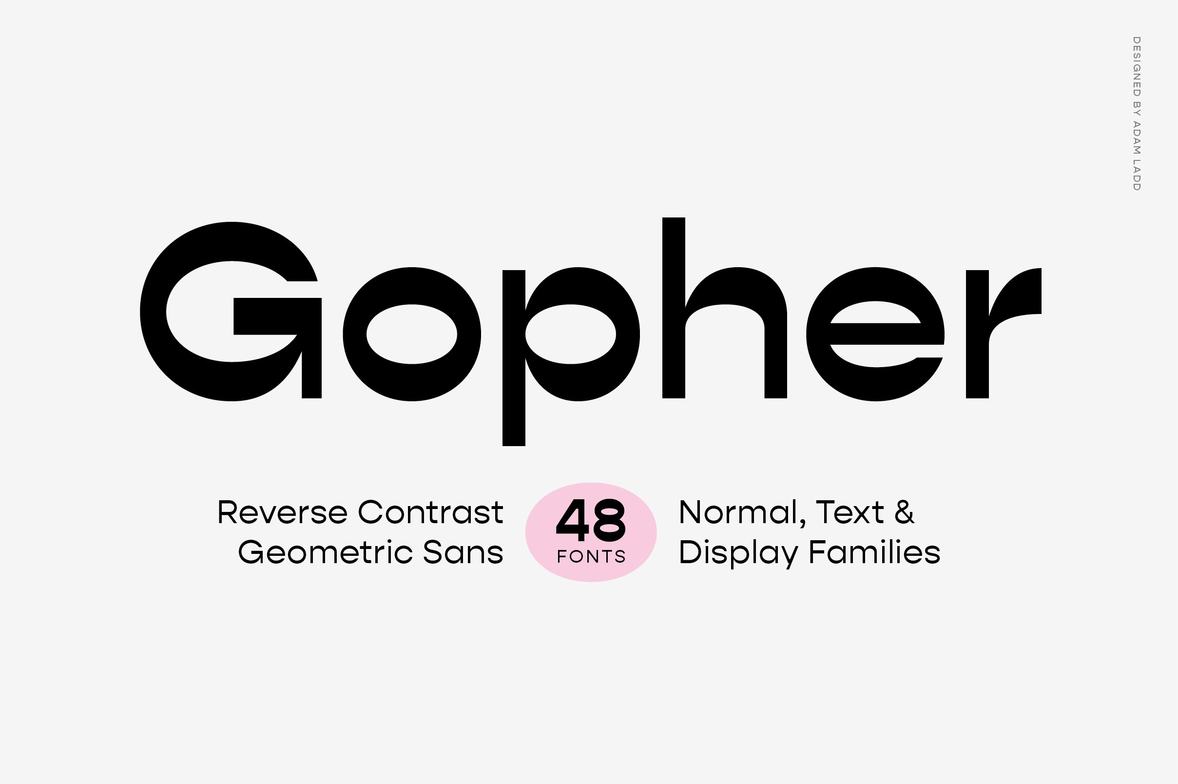 Gopher Complete Font Family cover image.