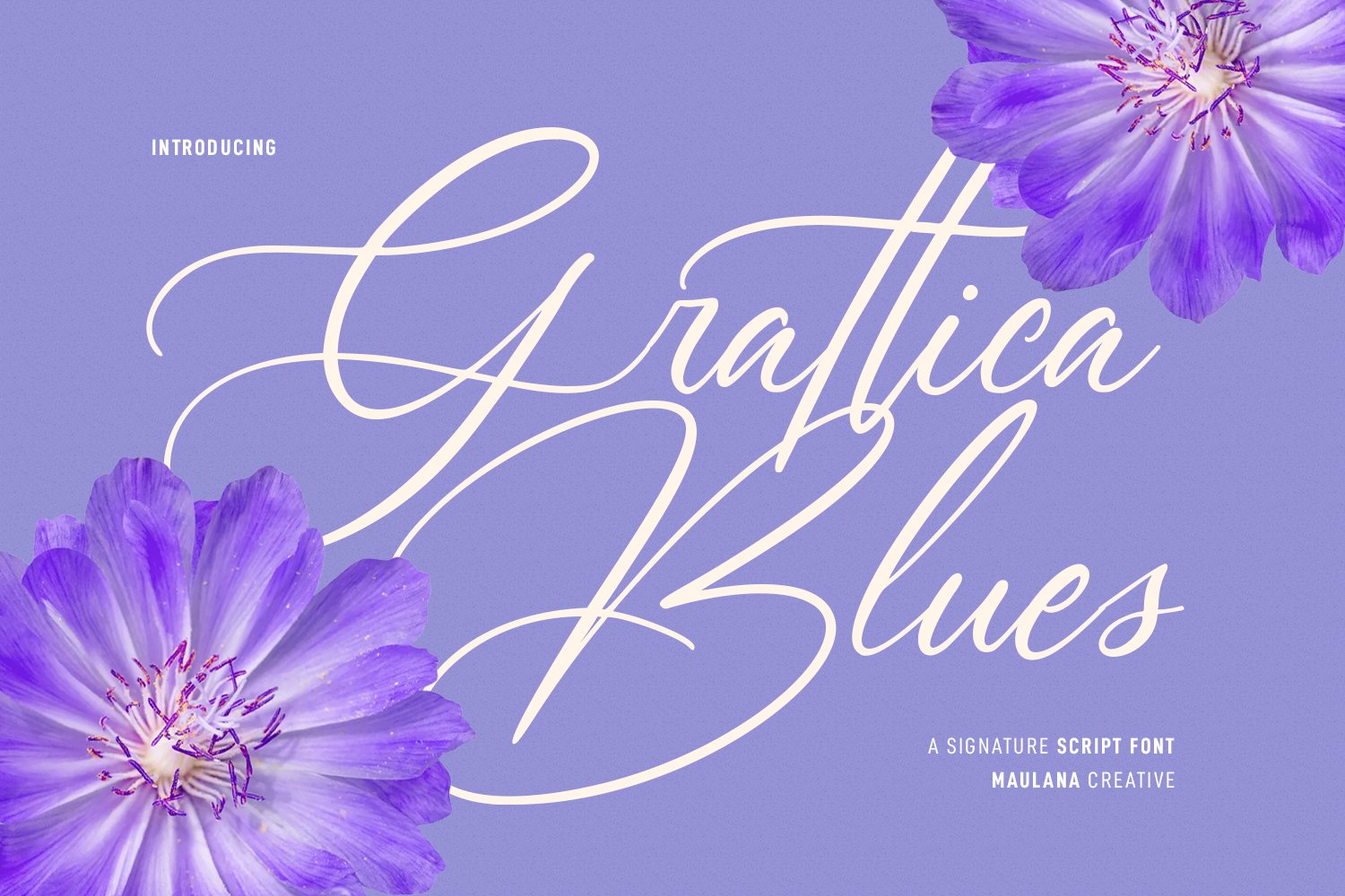 Grattica Blues Script Font cover image.