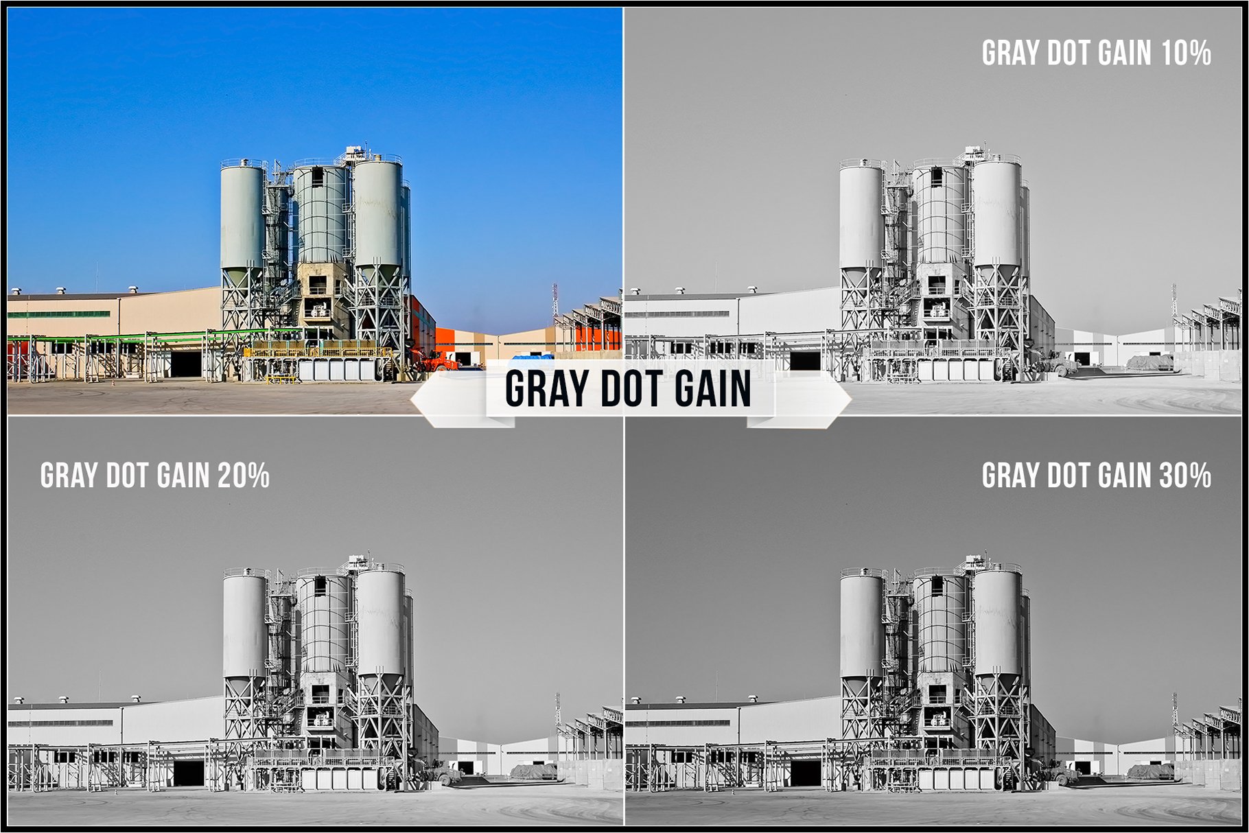 gray dot gain 317